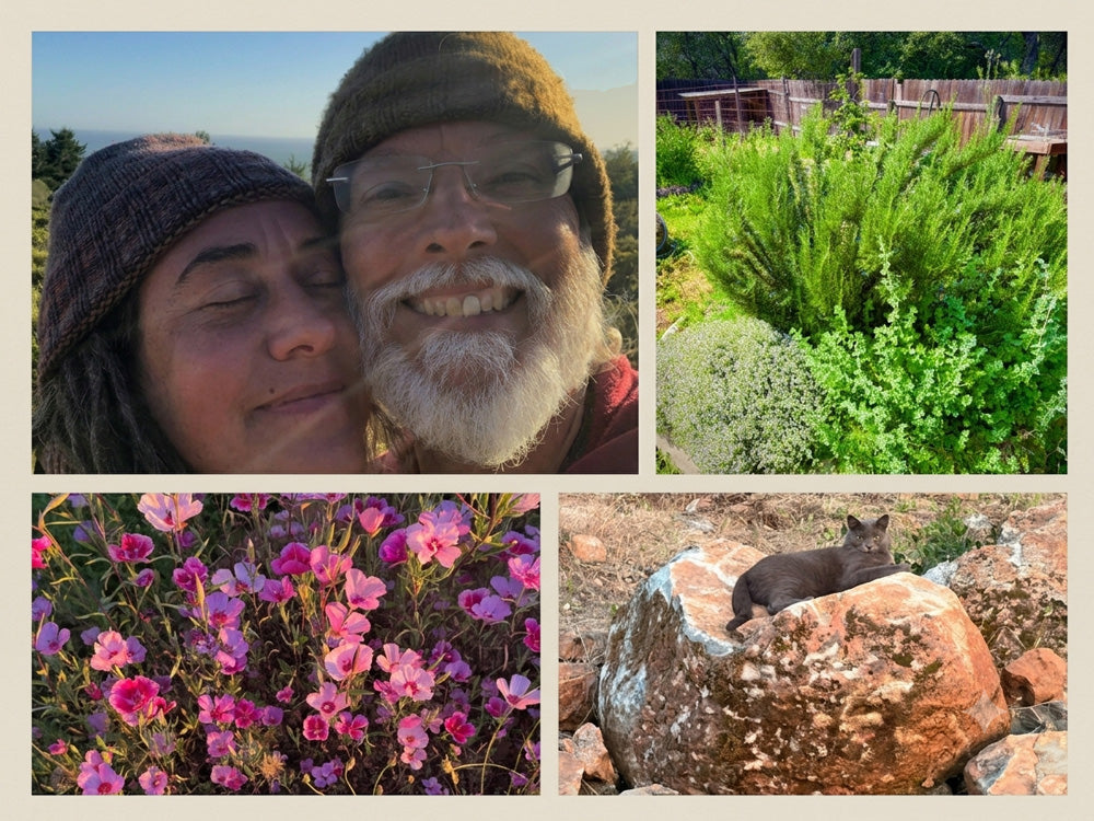 Tarot Tea Garden - photo collage
